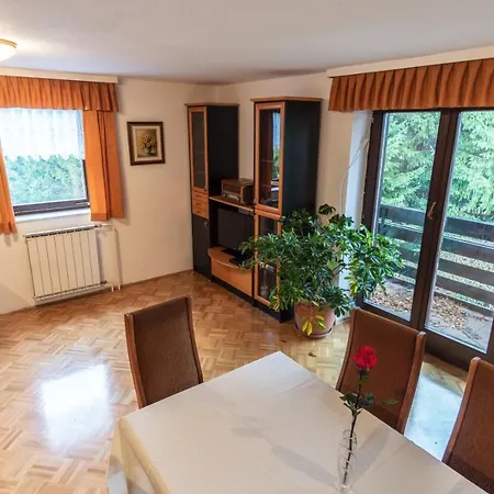 Satya Apartman Dobrna